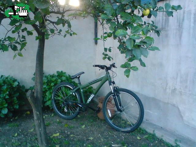 lucio236