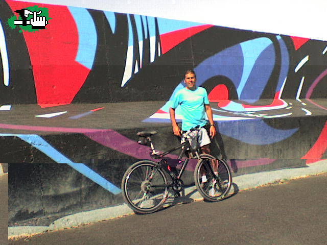 el mural