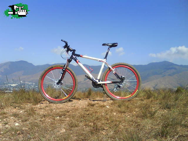 Regreso del zorro dh a las montañas 