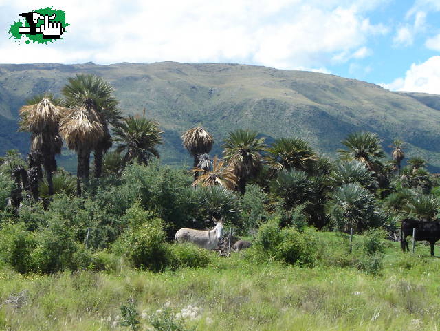 Cruce de los Comechingones