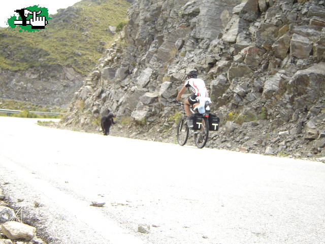 Cruce de los Comechingones