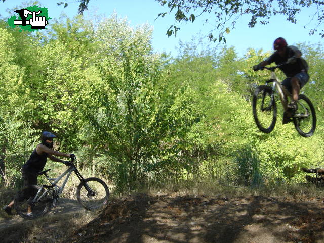 Parque Pereyra Iraola - La Plata