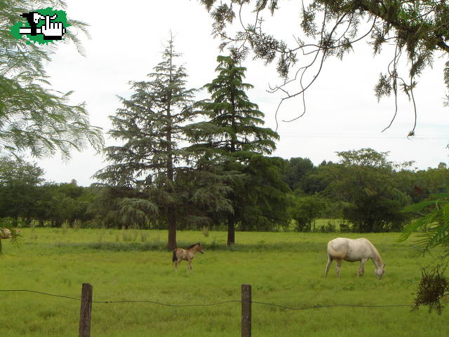 Cruce de los Comechingones