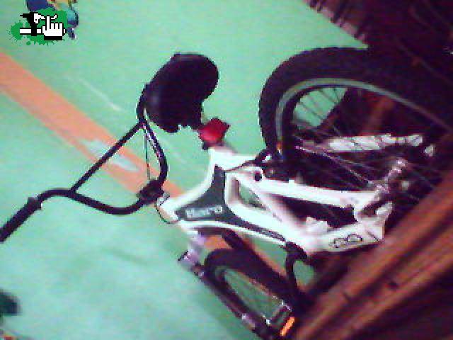 monocoque* de juan*
