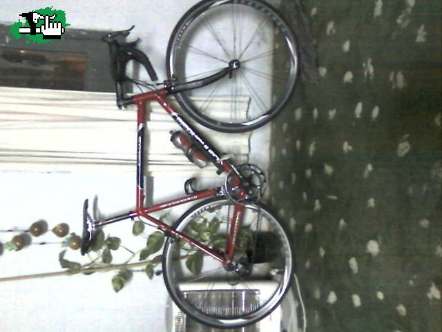Bicicletas de ruta y pista Cannondale CA5