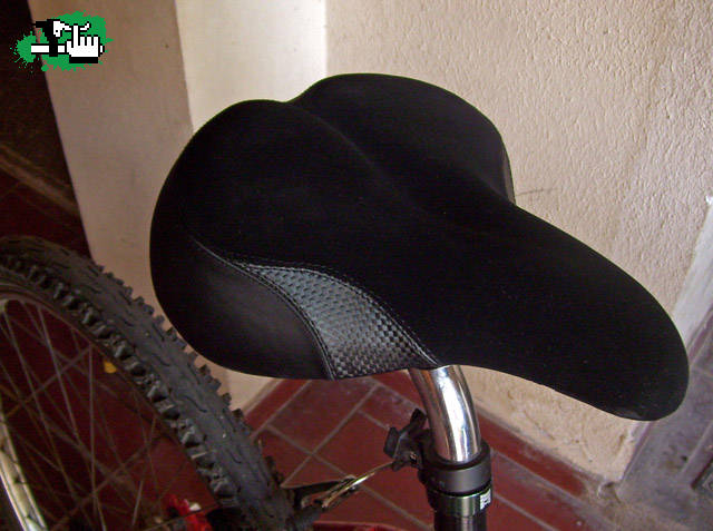 paseandera con asiento nuevo!
