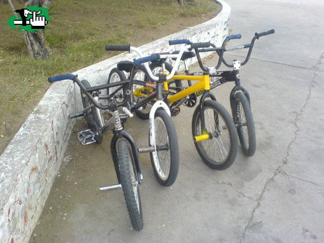 Algunas bikes de CALETA 