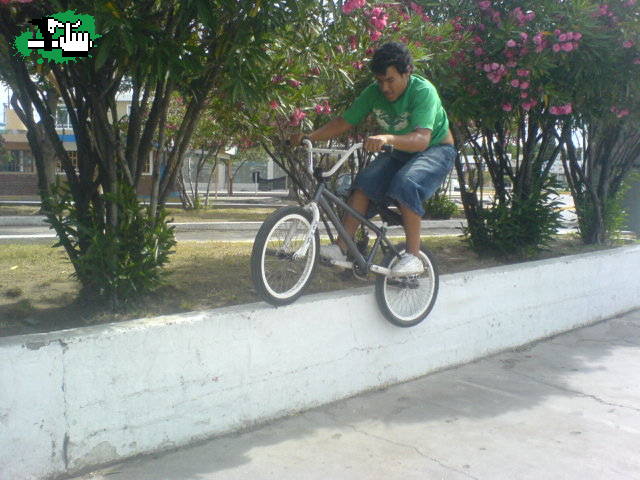 Yo feeble en el centro