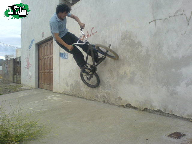 Wallride Agustin