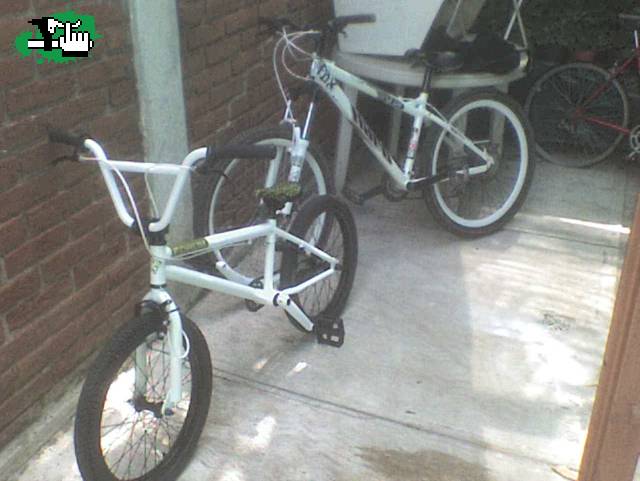 las 2 haro la mia i la d mi hermano