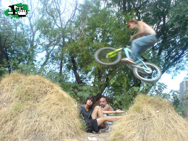 Volando