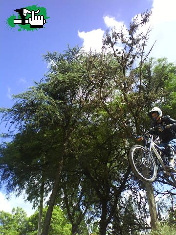 MINI DH CBA