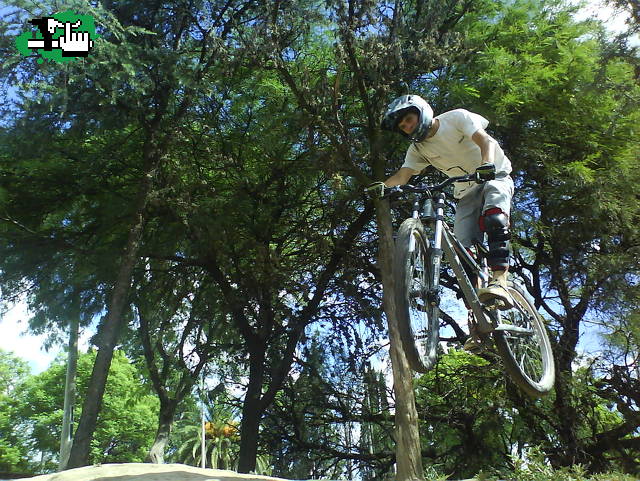 MINI DH Cba