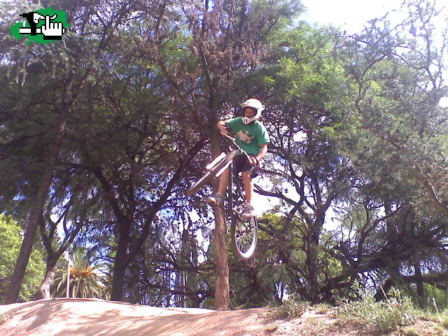 MINI DH Cba