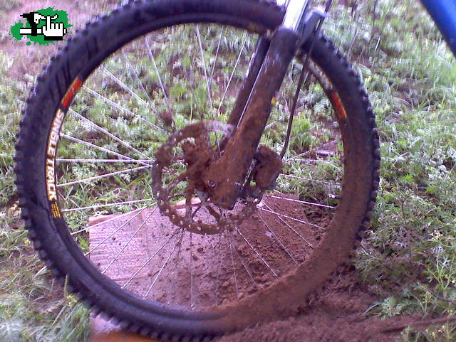 MINI DH Cba