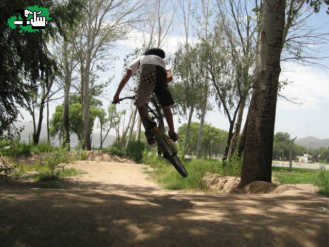 probando camaa 