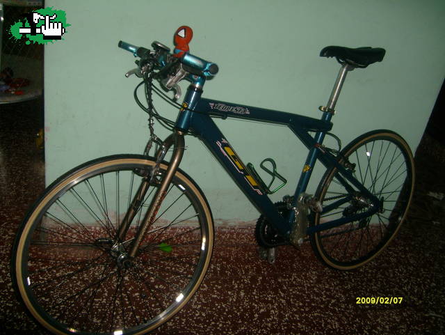 cari32tucu