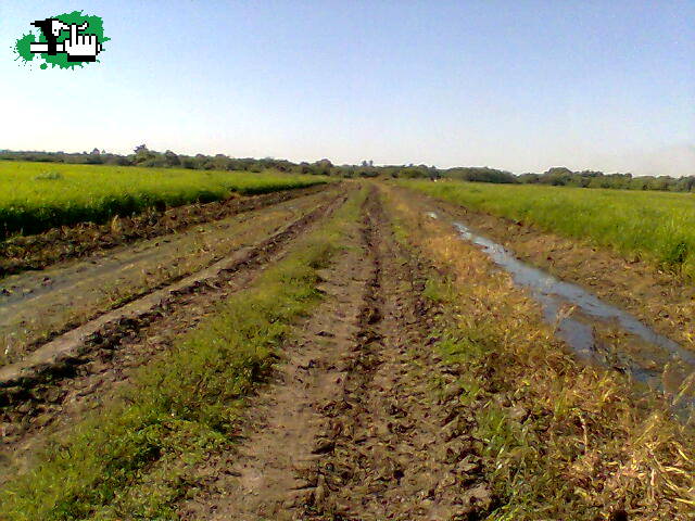 SALIDA POR ENTRE RIOS