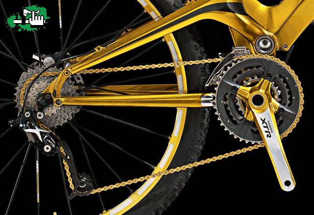 detalle GT ORO