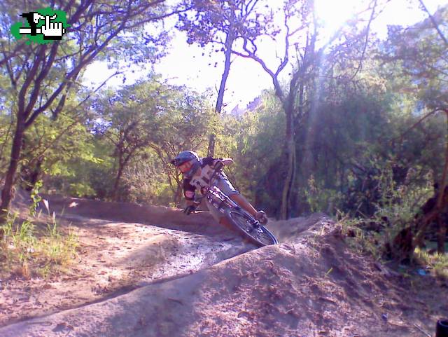 Mini dh Cba, Oveja