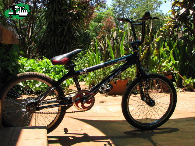 bikecheck GTS b2