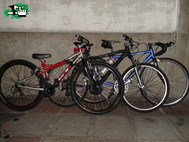 la evolucion 