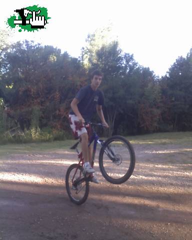 tirando un caballo 