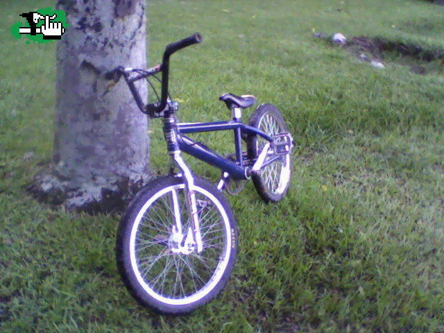 Bike check