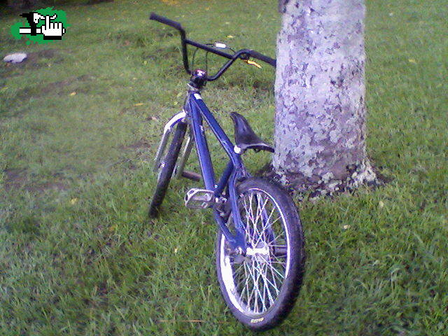 Bike check. Opinen