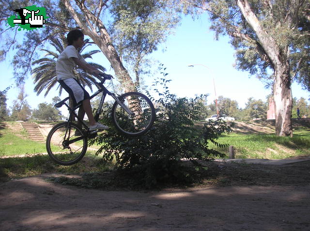 rideando en el parque
