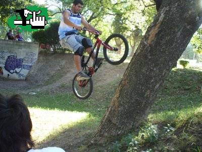 Wolride o algo asi contr un abrbol parana entre rios
