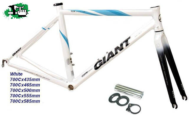 PORYECTO GIANT TCR TEAM