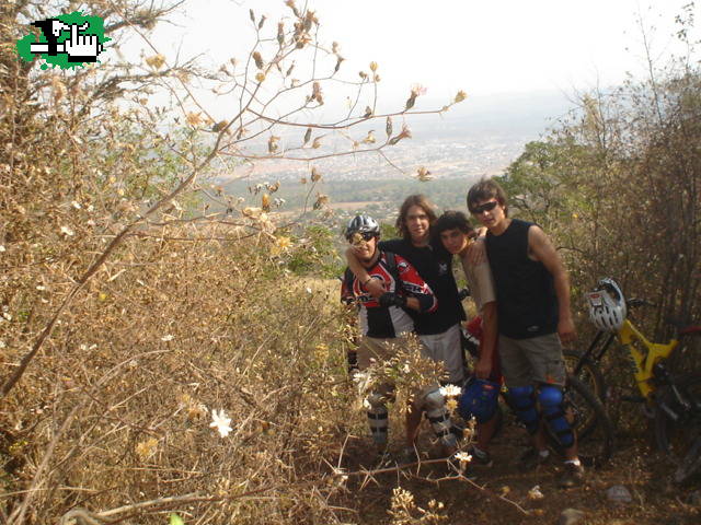 Higuerillas-JUJUY