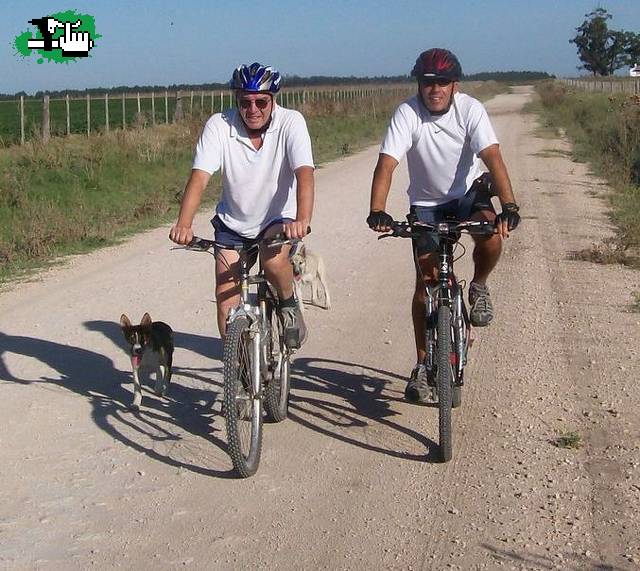 pedro y kali custodiados