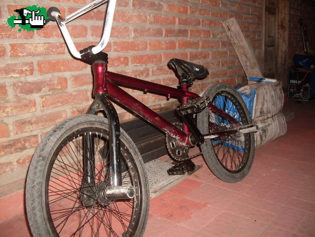 les gusta mi bike¿?