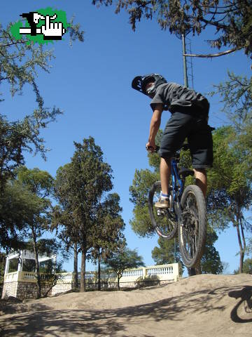 mini dh team