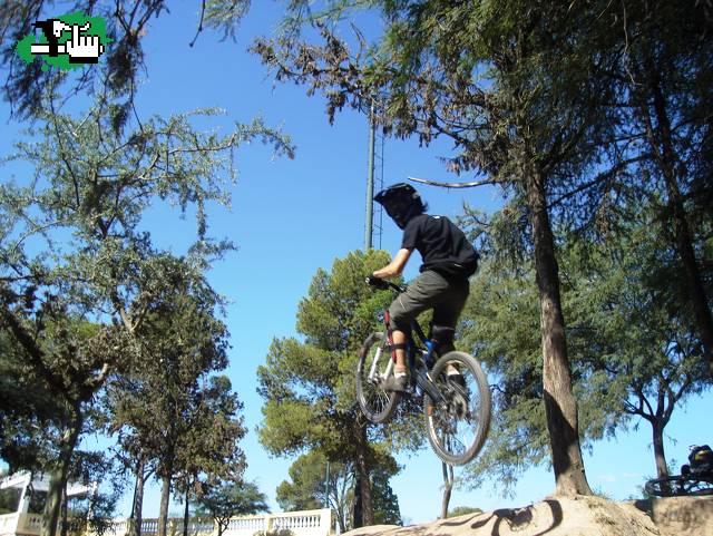 mini dh team