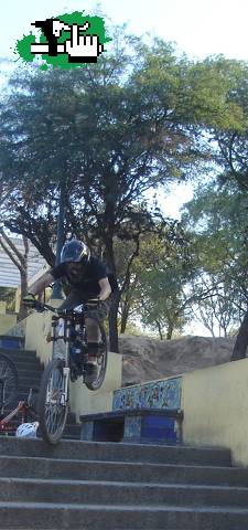 mini dh team