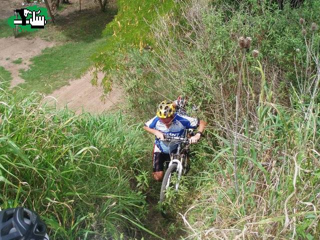 Aguilas del Sur