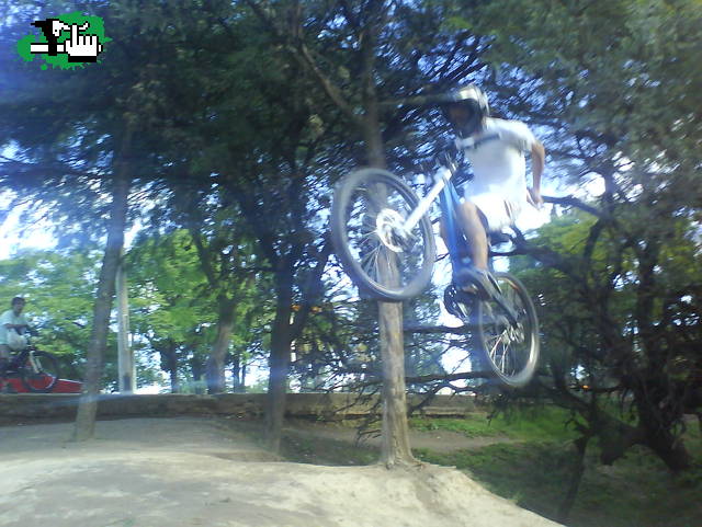 Mini DH Team, Maxi