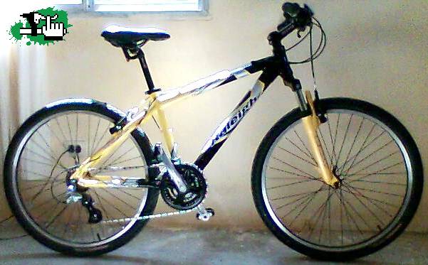 Nueva Bici