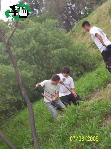 Mini DH team 