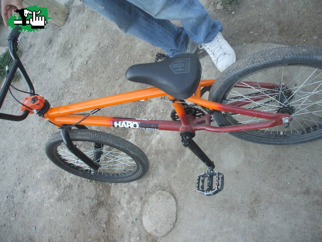 maukee