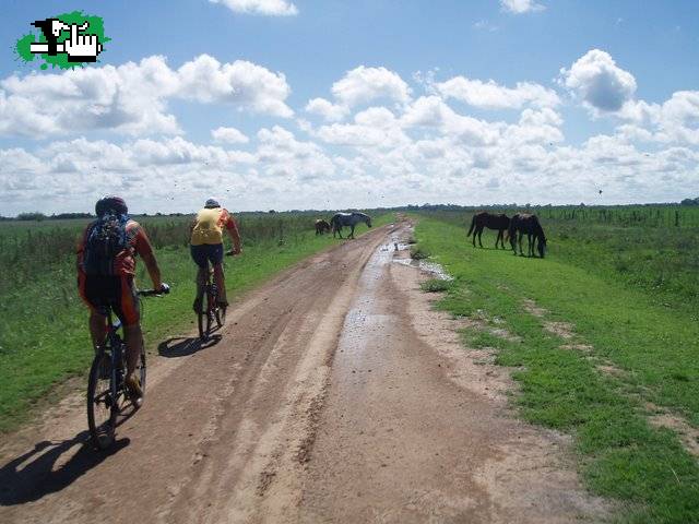 CICLOBIKERS