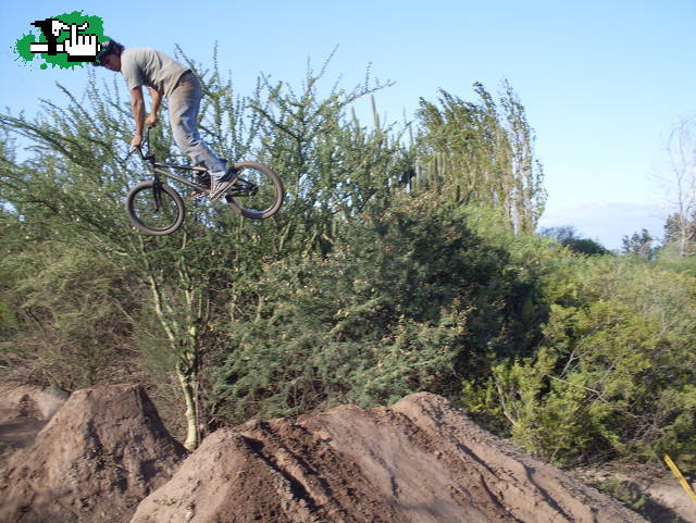 rene 360