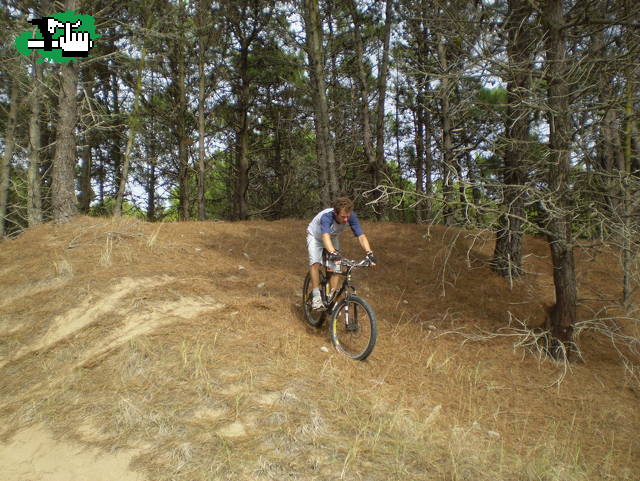 bosques de pinamar