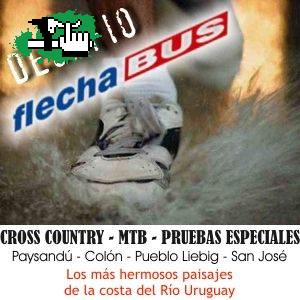 desafio flecha bus