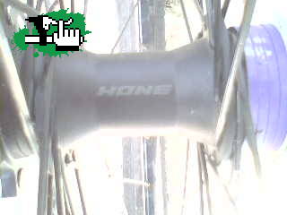 maza shimano hone