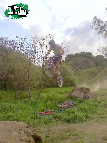 Mini DH Team, Oveja