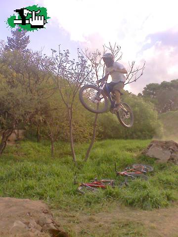 Mini DH Team, Maxi